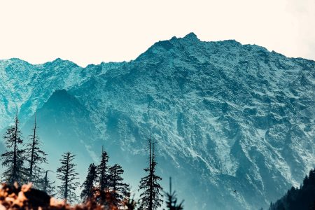 Romantic Rendezvous : Kullu-Manali Honeymoon Escapade