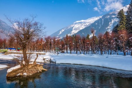 Kashmir Kalevaar : A Tapestry of Tradition and Beauty